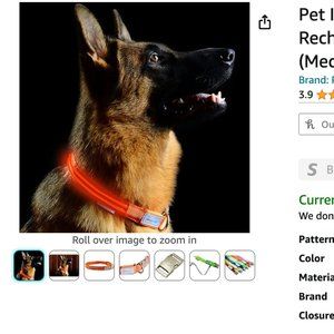 NIB Light up LED dog collar by Pet Industries - Medium - Orange
